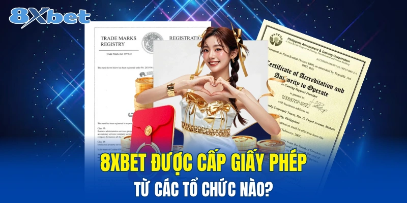 Tổng hợp giấy phép đơn vị đang sở hữu